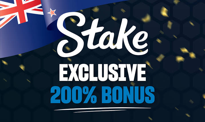 Stake Casino site 
